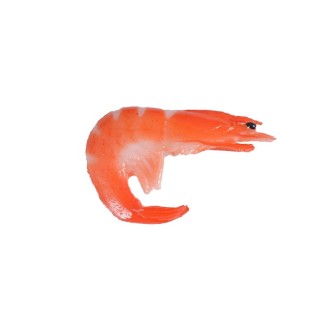 3 PCS Simulation Shrimp Camera Props Children Play House Toys(Big Red Shrimp)