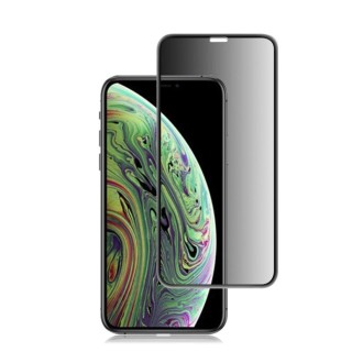 For iPhone 11 Pro / XS / X mocolo 0.33mm 9H 3D Round Edge Privacy Anti-glare Tempered Glass Film(Black)