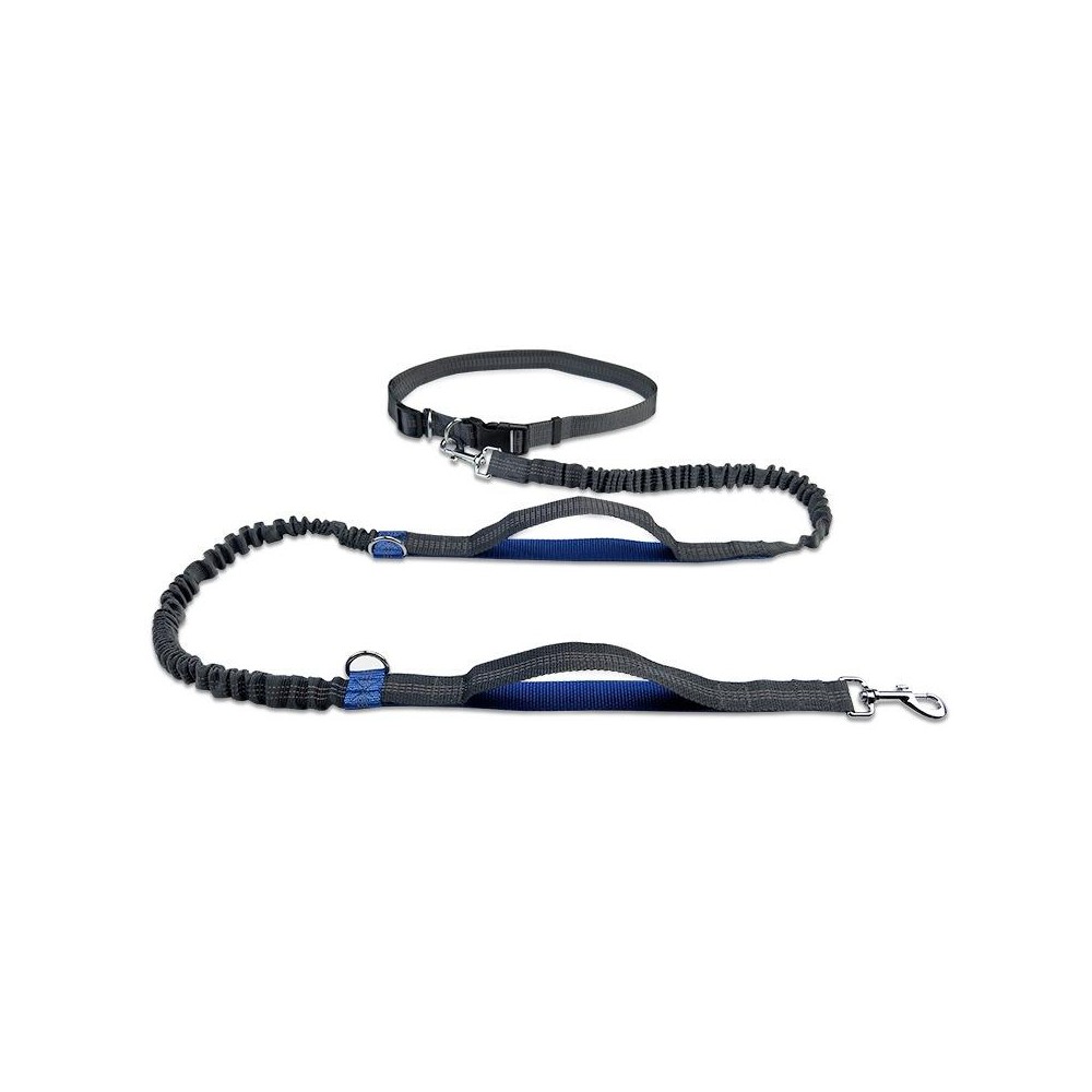 Running Reflective Double Telescopic Dog Rope Dog Chain Traction(Royal Blue)