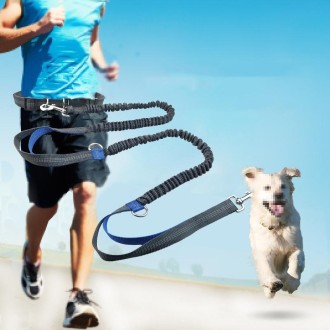 Running Reflective Double Telescopic Dog Rope Dog Chain Traction(Royal Blue)