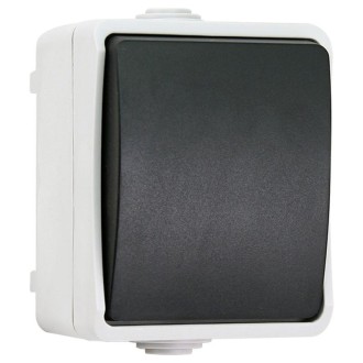 IP44 Waterproof Kitchen Bathroom Single Control Switch, EU Plug