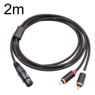 RCA20 XLR Female to Dual RCA Y-Splitter Audio Cable, Length:2m