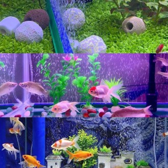 Single Head 10 inch Oxygenation Pump Aeration Tube Bubble Wall Fish Tank Decorative Air Strip Stone Sand Strip