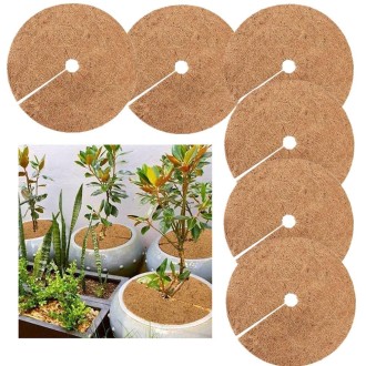 6 PCS/Set Plant Root Antifreeze Flowerpot Coconut Palm Flat Mat, Size: 20cm