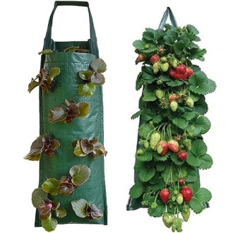 Multi-Port Grow Bags For Plant Strawberry Potato Hanging Planting Pots, Size: 8 Port