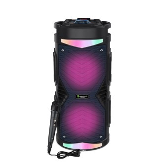 NewRixing NRG6601A Outdoor Portable Karaoke Wireless Speaker 20W Audio Amplifier With Mic(C)