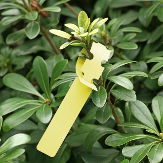 100 PCS Gardening Plant Sapling Seed Hanging Tree Label(Yellow)