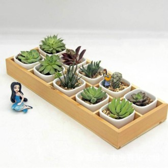 Succulent Wooden Storage Box Landscape Garden Decoration, Specification:10 Cells