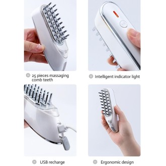 KAKUSAN KKS-189 EMS Microcurrent RF Hair Care Meridian Electric Massage Instrument(White)