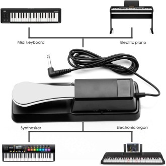 PL-02 6.35mm Connector Piano Sustain Pedal MIDI Synthesizer Pedal Musical Instrument Accessories(Black+Chrome-plated)