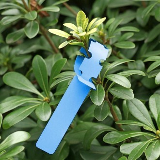 100 PCS Gardening Plant Sapling Seed Hanging Tree Label(Blue)