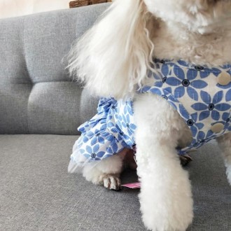 Pet Clothes Spring and Summer Cotton Small Dog Princess Pet Skirt, Size:L(Blue Maple Leaf)