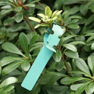 100 PCS Gardening Plant Sapling Seed Hanging Tree Label(Green)