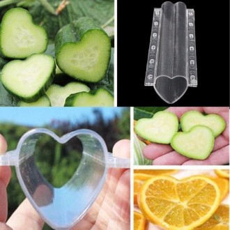 Heart-shaped Fruit Shaped Growth Plastic Mold