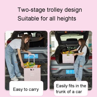 Portable Plastic Folding Shopping Cart Grocery Shopping Small Trolley Cart, Style: Two Wheels Rose Pink(Large)