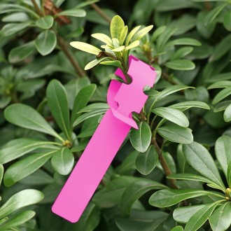 100 PCS Gardening Plant Sapling Seed Hanging Tree Label(Pink)