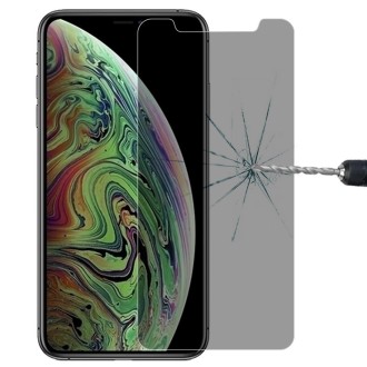 For iPhone 11 Pro Max / XS Max 9H 3D Privacy Anti-glare Non-full Screen Tempered Glass Screen Protector