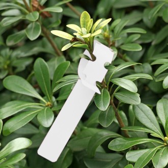 100 PCS Gardening Plant Sapling Seed Hanging Tree Label(White)