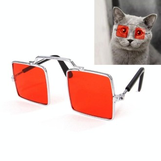 Pet Jewelry Cat Photo Funny Props Personality Glasses(Transparent Red)