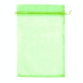 100pcs /Pack  Fruit Protection Bag Anti-Insect And Anti-Bird Net Bag 15 x 20cm(Green)