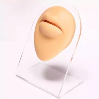 Simulation Facial Features Silicone Model Practice Display Props, Style:Mouth(Flesh Color)