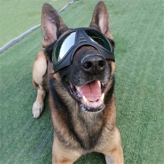 Pet Mask Glasses Waterproof And Snowproof Soft Frame Goggles Dog Supplies Sunglasses(Black)